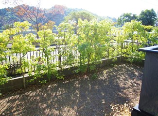 南国市緑ケ丘2丁目賃貸